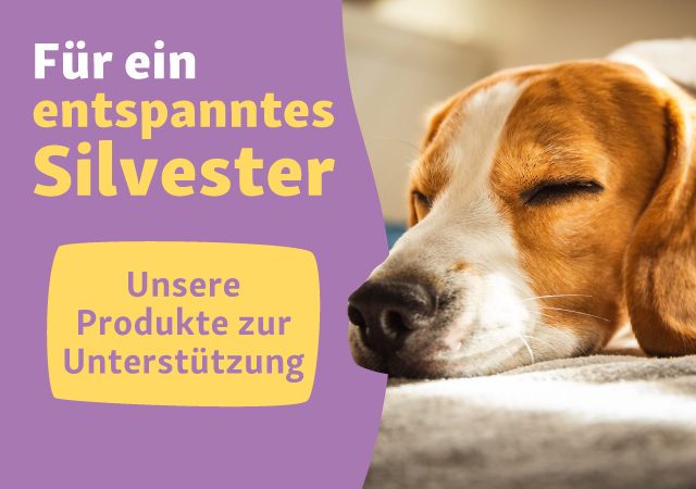 Beruhigungsmittel für Hunde