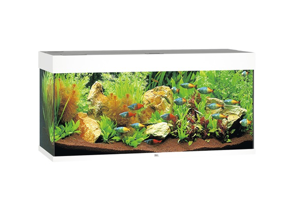 Aquarium JUWEL Rio 180 mit LED-Beleuchtung, Pumpe, Filter, Heizer ohne Unterschrank weiß