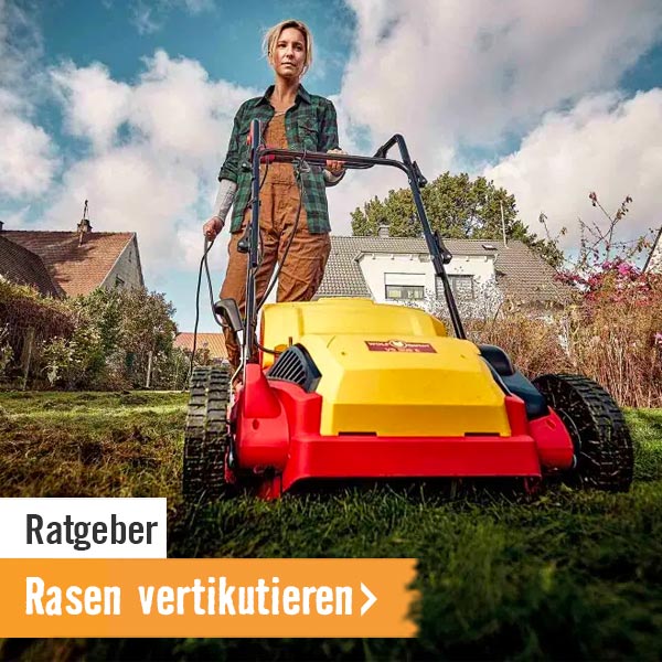 HORNBACH Ratgeber Rasen vertikutieren