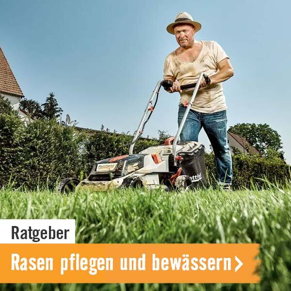 Ratgeber Rasen pflegen und bewässern