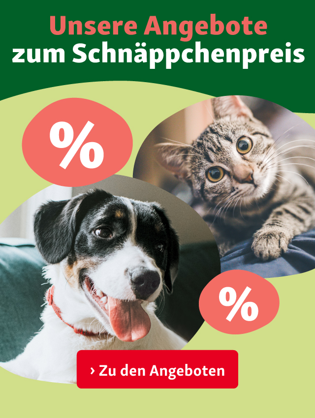 Unsere Angebote zum Schnäppchenpreis