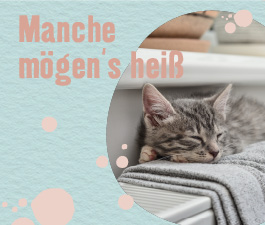 Manche mögens heiß