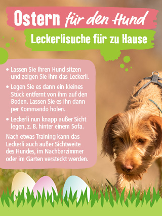Ostern für den Hund