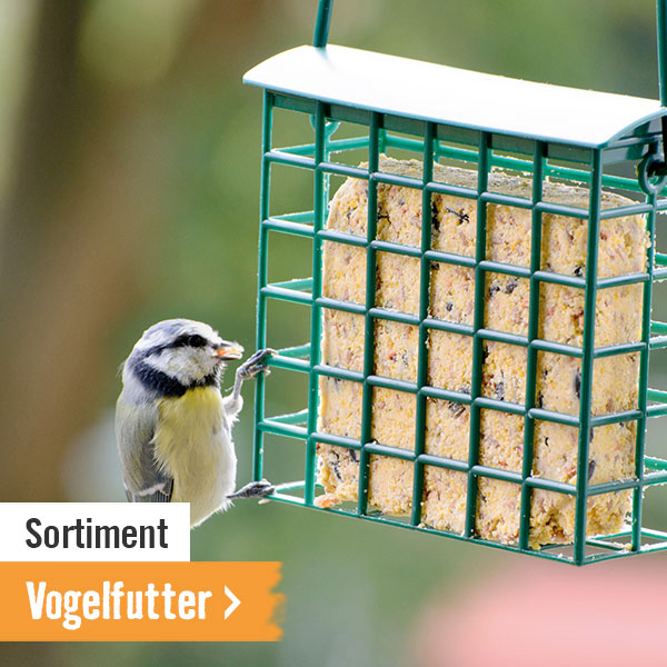 Vogelfutter im HORNBACH Onlineshop