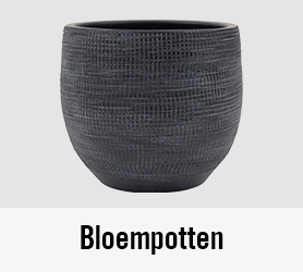 Bloempotten | HORNBACH