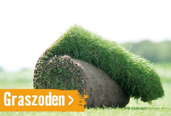 Graszoden | HORNBACH