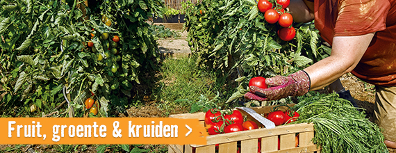 Fruit, groente & kruiden | HORNBACH