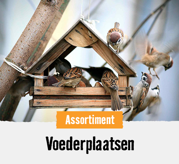 Voederplaatsen & nestkastjes | HORNBACH