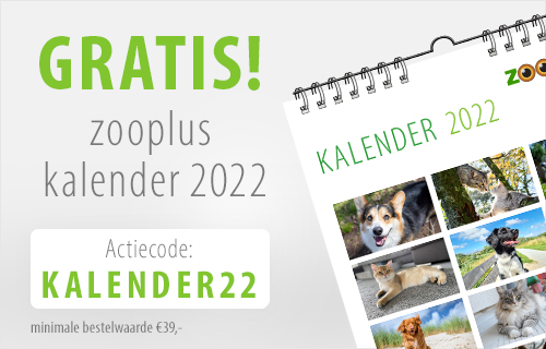 Gratis kalender 2022!