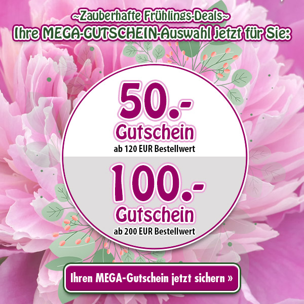 Ihren MEGA-Gutschein jetzt sichern!