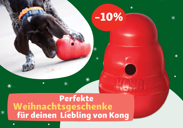 Perfekte Weihnachtsgeschenke für deinen Liebling von Kong