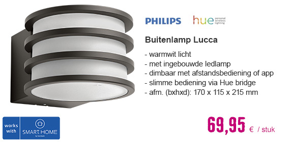 PHILIPS Hue White LED buitenlamp Lucca antraciet | HORNBACH