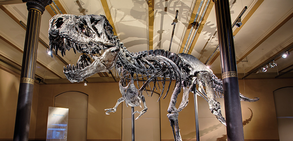 Dinosaurs! Age of the giant lizards