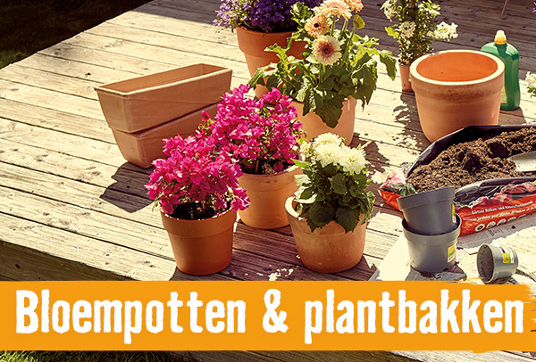 Bloempotten en plantenbakken | HORNBACH