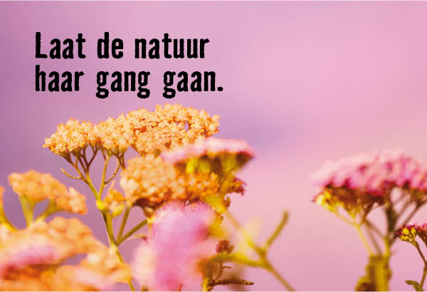 Laat de natuur haar gang gaan. | HORNBACH