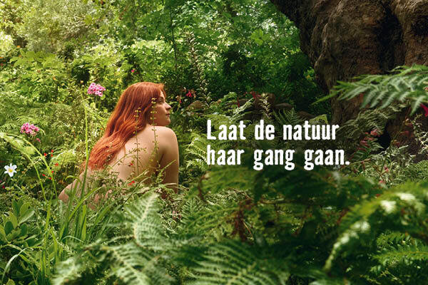 Laat de natuur haar gang gaan. | HORNBACH