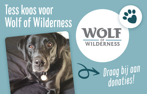 Tess koos voor Wolf of Wilderness!