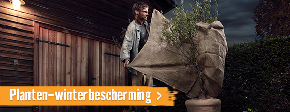 Planten-winterbescherming . HORNBACH