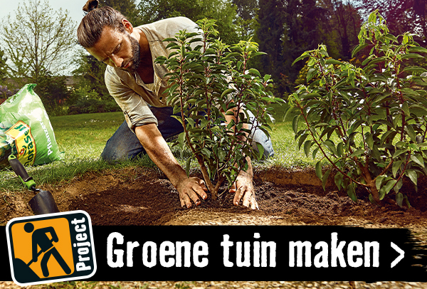 Groene tuin aanleggen | HORNBACH