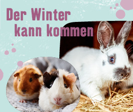 Der Winter kann kommen