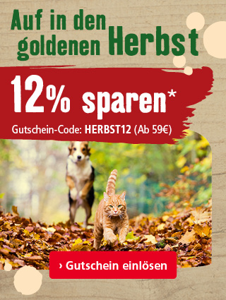 12% zum Herbstbeginn