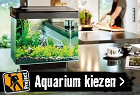 Aquarium kiezen | HORNBACH