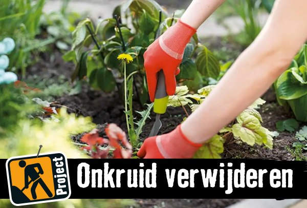 Onkruid verwijderen | HORNBACH