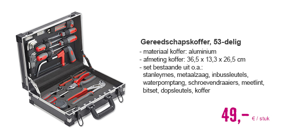 Gereedschapskoffer gevuld, aluminium 53-delig | HORNBACH