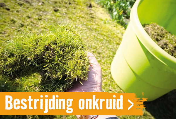 Bestrijding onkruid | HORNBACH