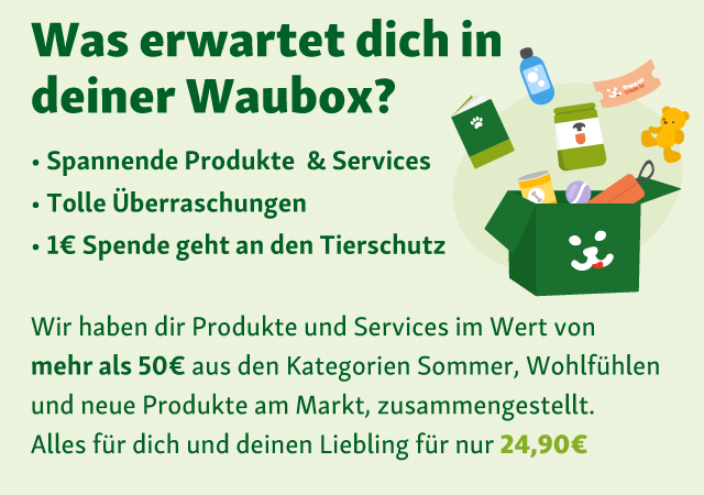 Das erwartet dich in deiner Waubox