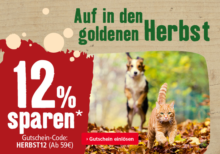 12% zum Herbstbeginn