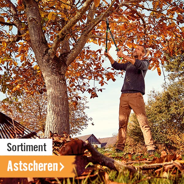 Astscheren im HORNBACH Onlineshop