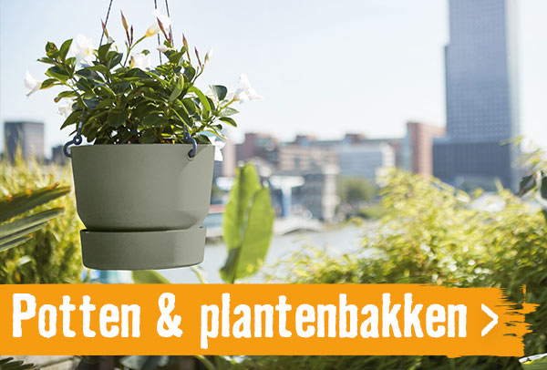 Bloempotten & plantenbakken | HORNBACH