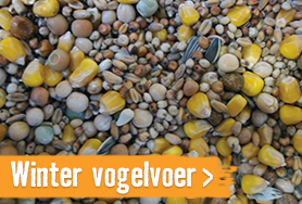 Winter en wildvogelvoer | HORNBACH