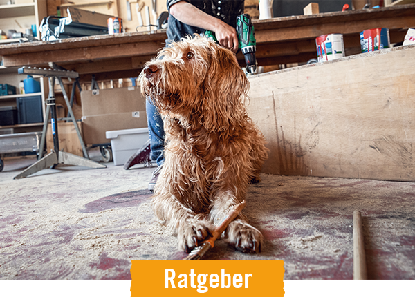 HORNBACH Ratgeber Hunde halten