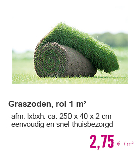 Graszoden gazon, 250 x 40 cm. Bestellen per hele rol = 1 m² | HORNBACH