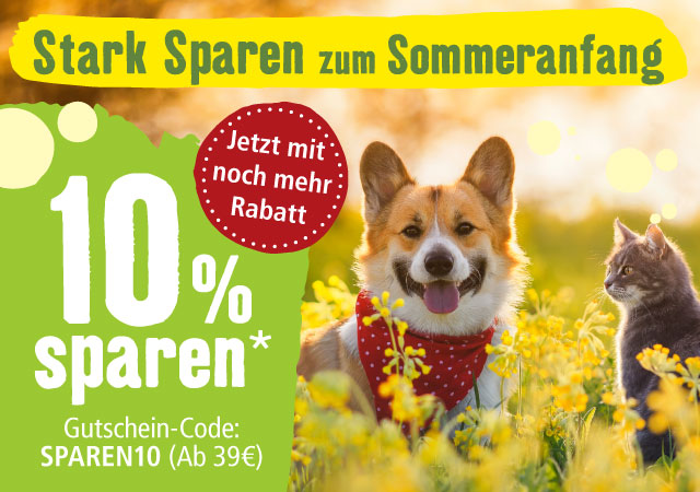 10% Rabatt auf alles!