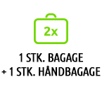 1 Stk. Bagage + 1 St. Handbagage