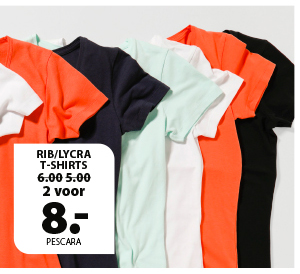 Diverse basic t-shirts 2 voor 8 euro