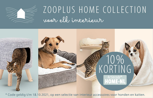 Ontdek nu onze zooplus Home Collection!