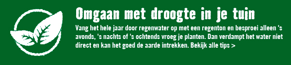 Omgaan met droogte in je tuin | HORNBACH