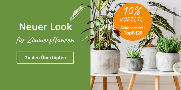 Indoor Pflanzgefäße mit Incentive
