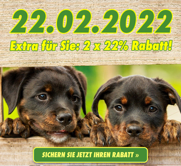 Sichern Sie sich jetzt 2x22 RABATT >