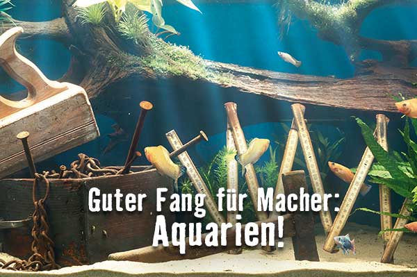 Alles rund ums Aquarium im HORNBACH Onlineshop