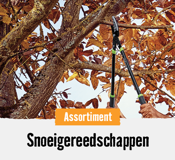 Snoeigereedschappen | HORNBACH