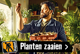 Project Planten zaaien & kweken | HORNBACH