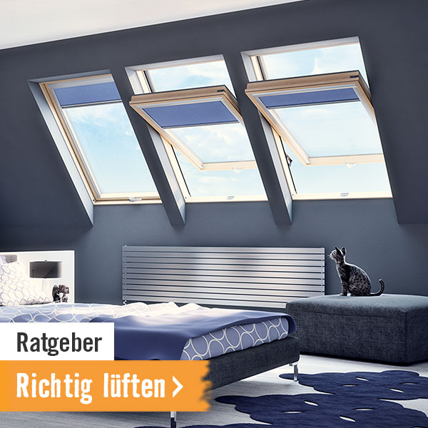 Ratgeber: Richtig lüften