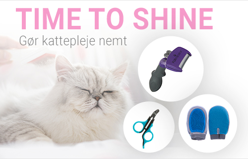 Katteseng, kattehus & kattehule