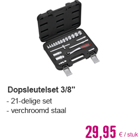 Dopsleutelset 3/8", 21-delig | HORNBACH