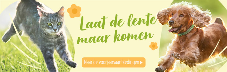 Laat de lente maar komen!